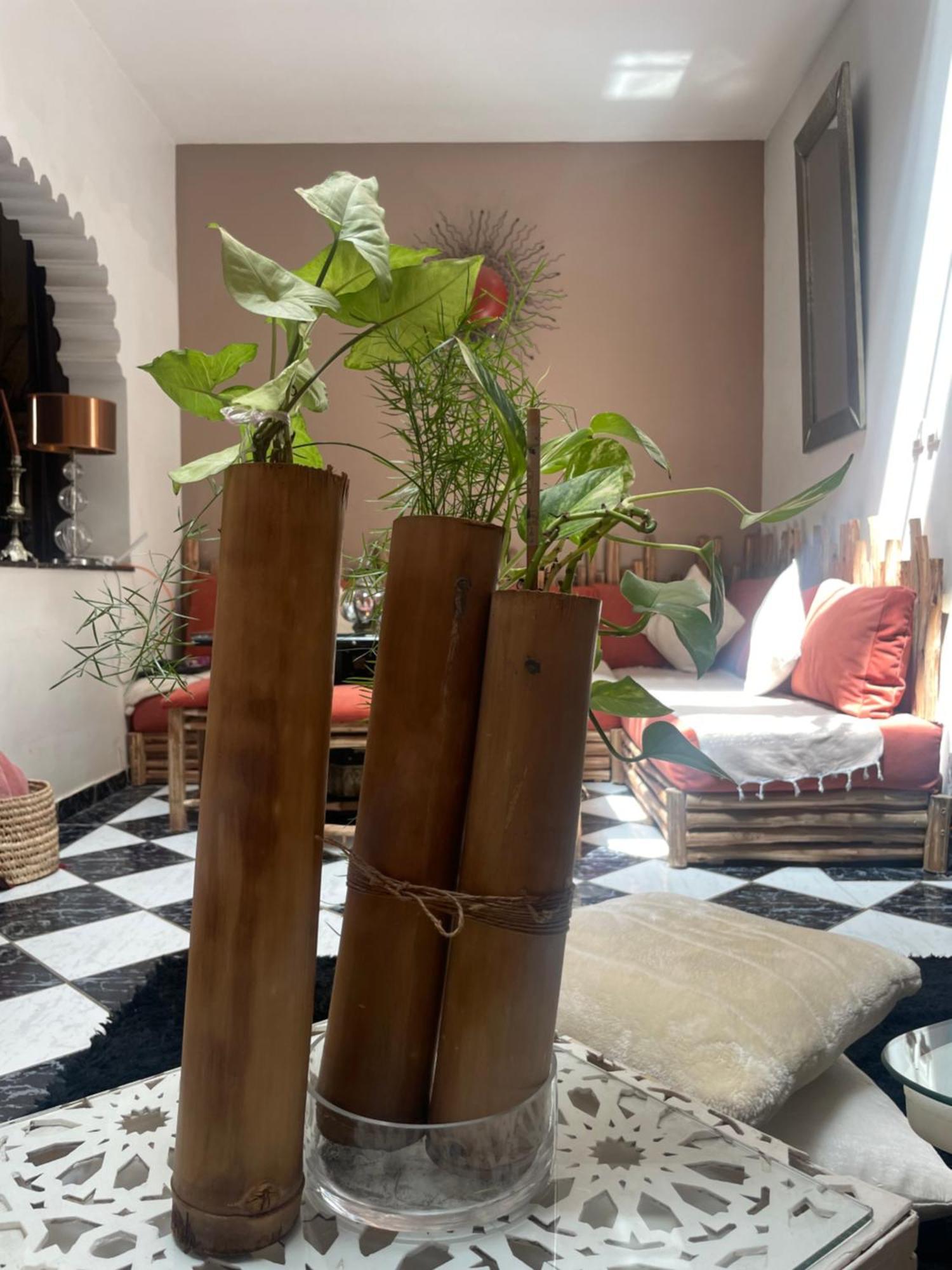 Riad Palmier Fleuri Marrakesh Bagian luar foto